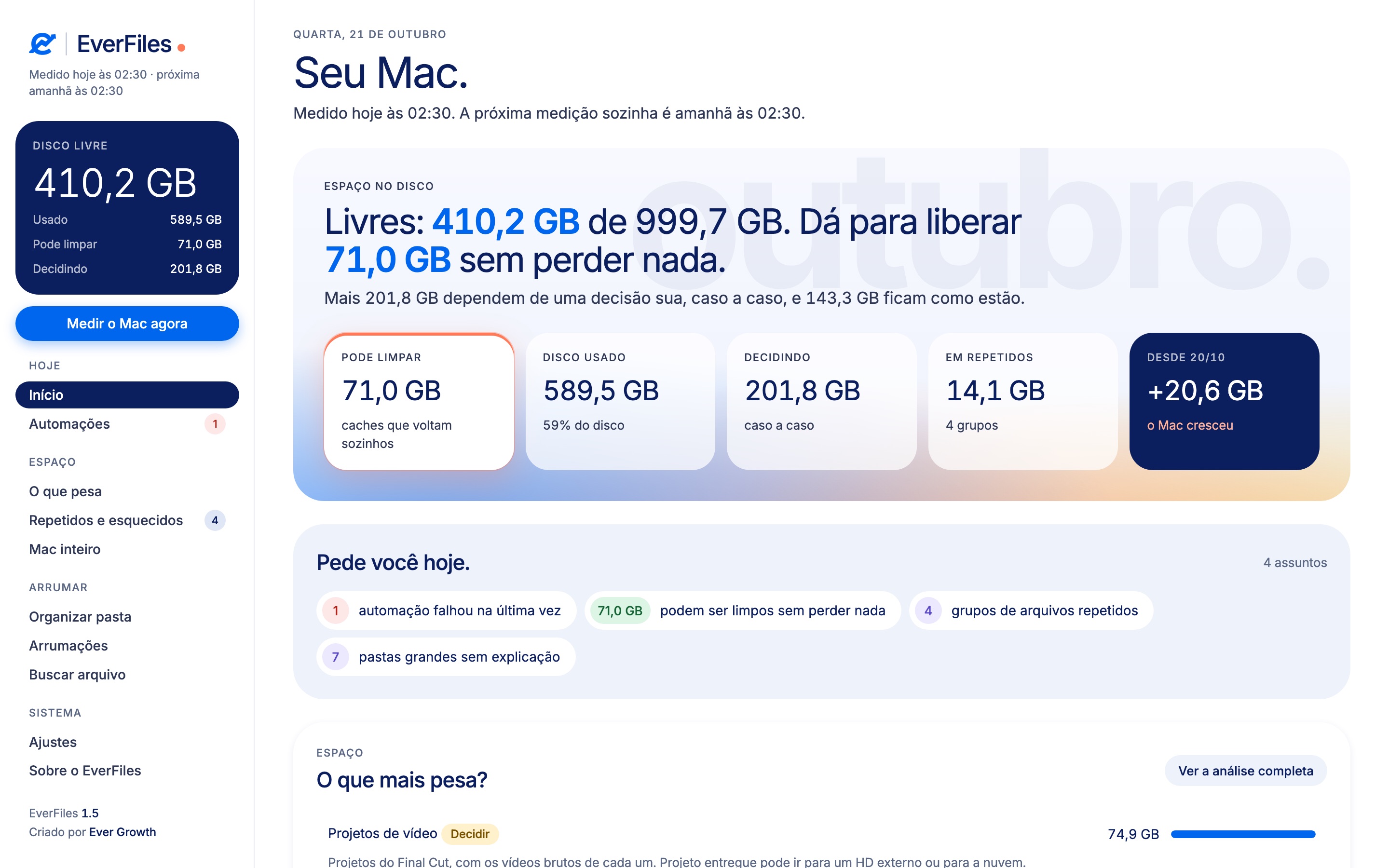 Tela inicial do EverFiles: disco livre, quanto dá para liberar e o que pede atenção